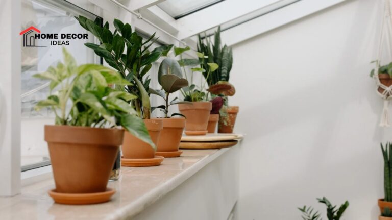 How to Make a Mini Indoor Garden: Step-by-Step Guide